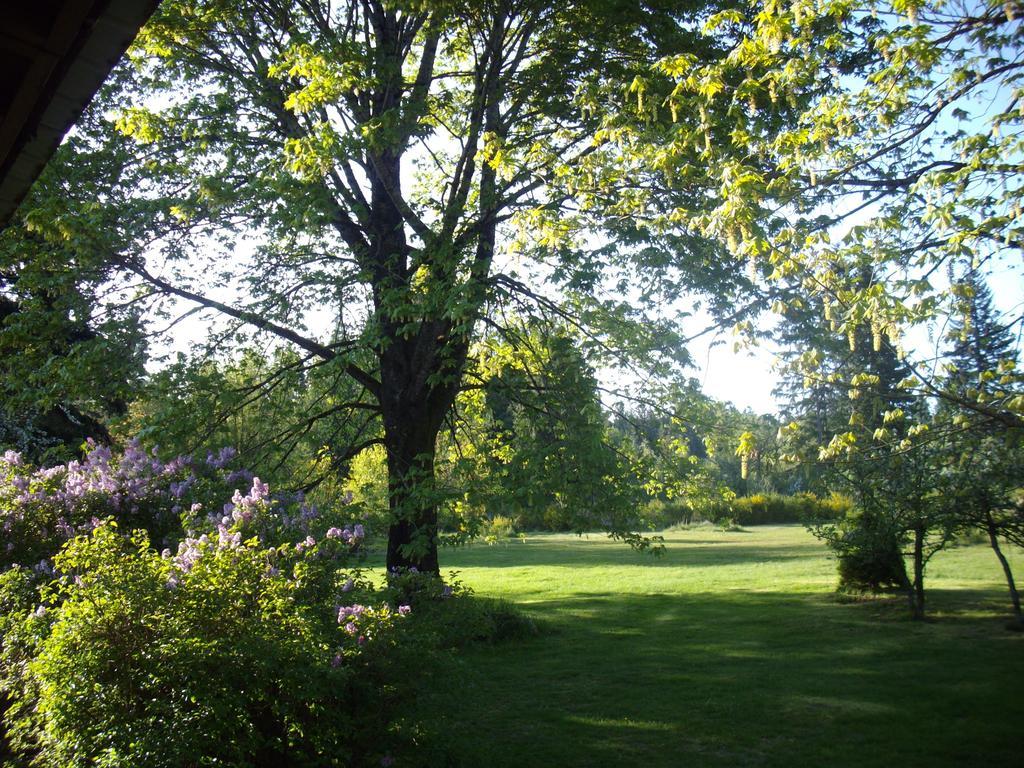 Lake Trail Guesthouse Cumberland 外观 照片