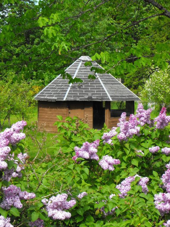 Lake Trail Guesthouse Cumberland 外观 照片
